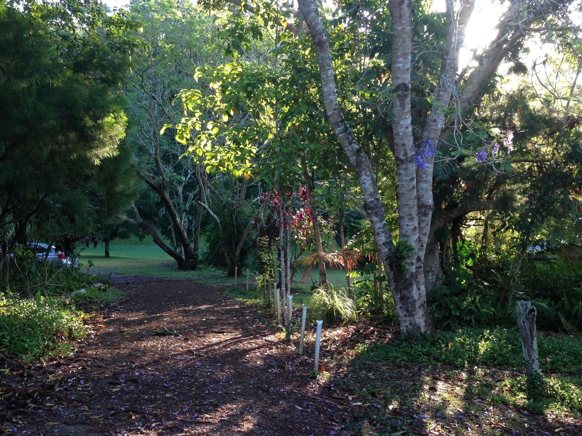 Lake Eacham Tourist Park & Cabins Exterior foto